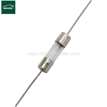 5x20mm Glass Cartridge Axial Lead Fuse